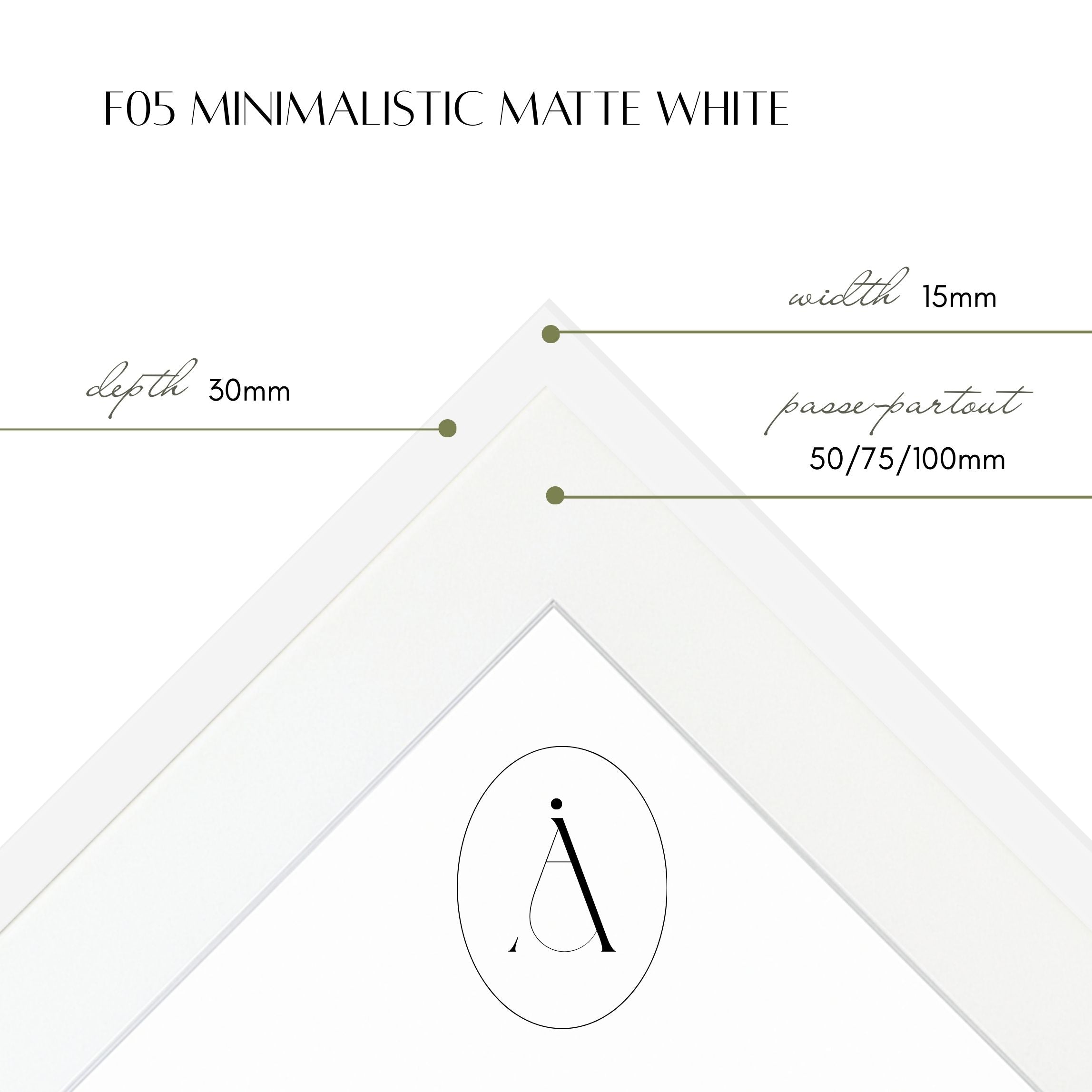 Dior Surfboard - Uramljena slika - Više ramova