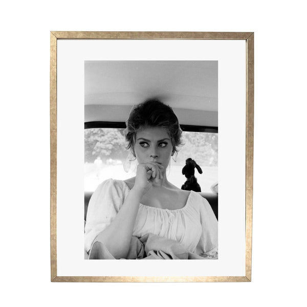 Timeless Sophia - Uramljena slika - Više ramova